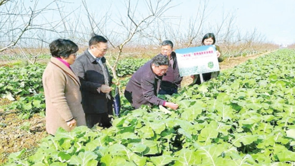 165055700.jpg 1546505204751384.jpg