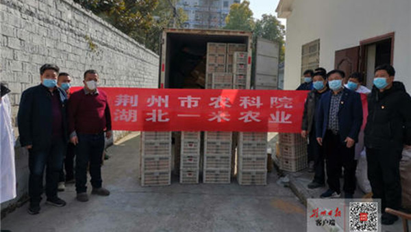 142958139.jpg 1580524912939383.jpg