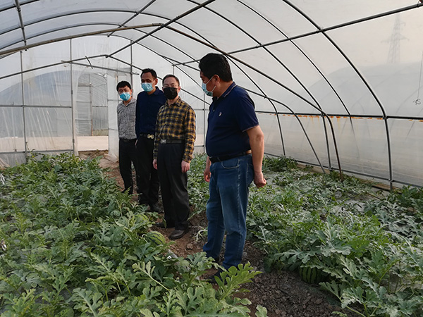 152507934.jpg 1588129986911068.jpg