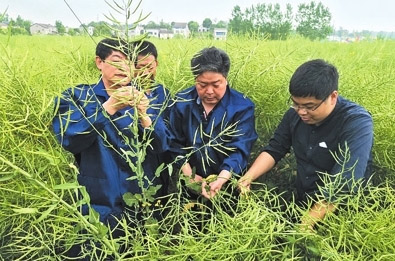 164107448.jpg 1592897043272219.jpg