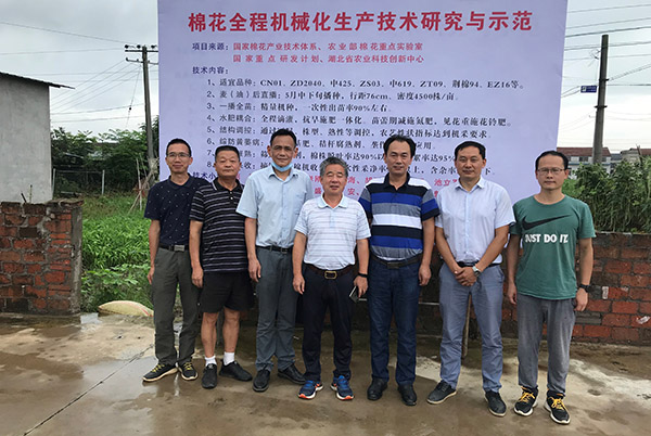 科技抗灾保丰收 &mdash;湖北省农科院荆州分院全力指导抗灾救灾