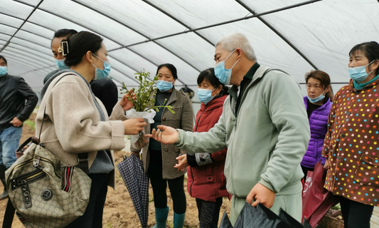 马铃薯的&ldquo;春天&rdquo;来了