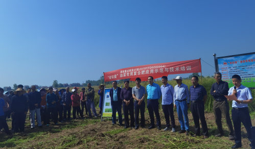 &ldquo;金钛能&rdquo;油菜专用复合肥现场会在荆召开