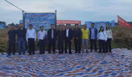 &ldquo;稻田迟播油菜抗倒稳产技术&rdquo;现场测产会