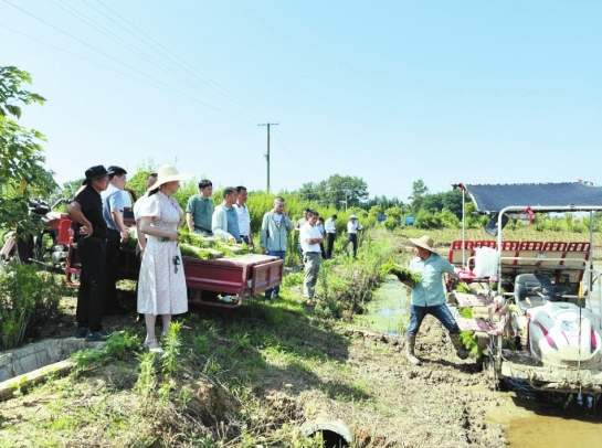 荆州农业科学院科技抗灾减灾小分队奔赴各县市区&mdash;&mdash; 指导梅雨期间...