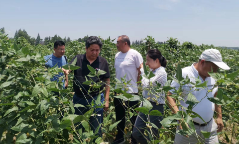 144540978.png 微信截图_20220624144226.png