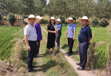 170926139.png QQ截图20220818164449.png