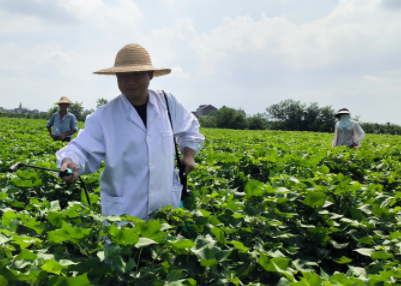 115359423.png 微信截图_20230731114529.png