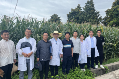省种子管理局组织专家团队来我院考察玉米区试工作