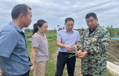 172820459.png 微信截图_20240628171611.png