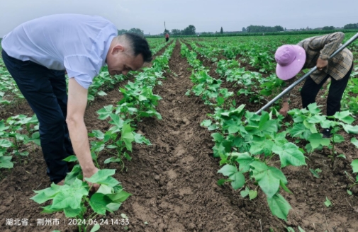 173022435.png 微信截图_20240628172735.png