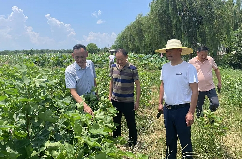 170436826.png 微信截图_20250801165935.png