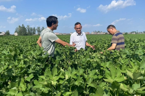 170500295.png 微信截图_20250801170045.png