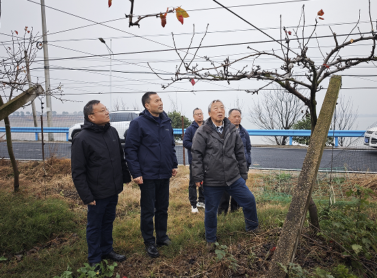 171742478.png 552.png