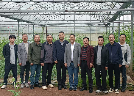 专家联动推进&ldquo;双百&rdquo;工程落地见效