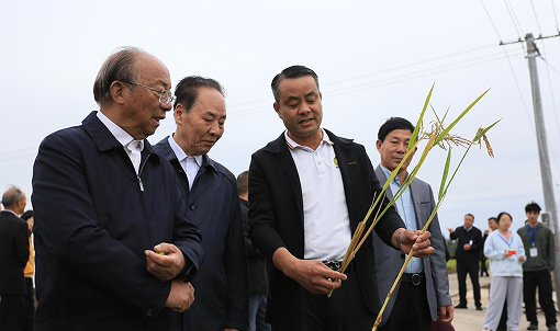 zai1.png